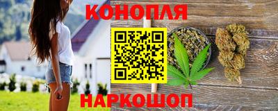 крисы Гатчина