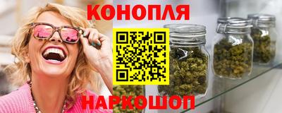 крисы Гатчина