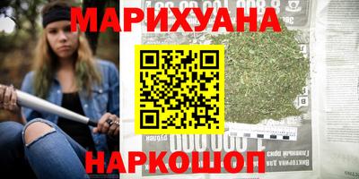крисы Гатчина