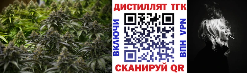 ТГК вейп kraken как зайти Калининград