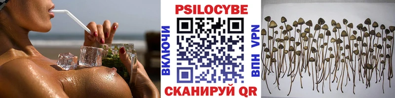Галлюциногенные грибы прущие грибы  Калининград 