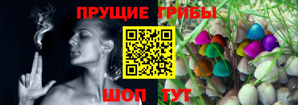 Галлюциногенные грибы Psilocybine cubensis  Вход с VPN  Калининград 