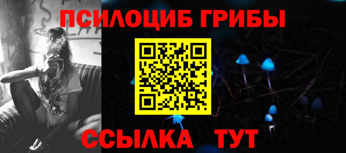 Псилоцибиновые грибы MAGIC MUSHROOMS  Калининград 